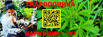 амф Коломна