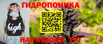 амф Коломна
