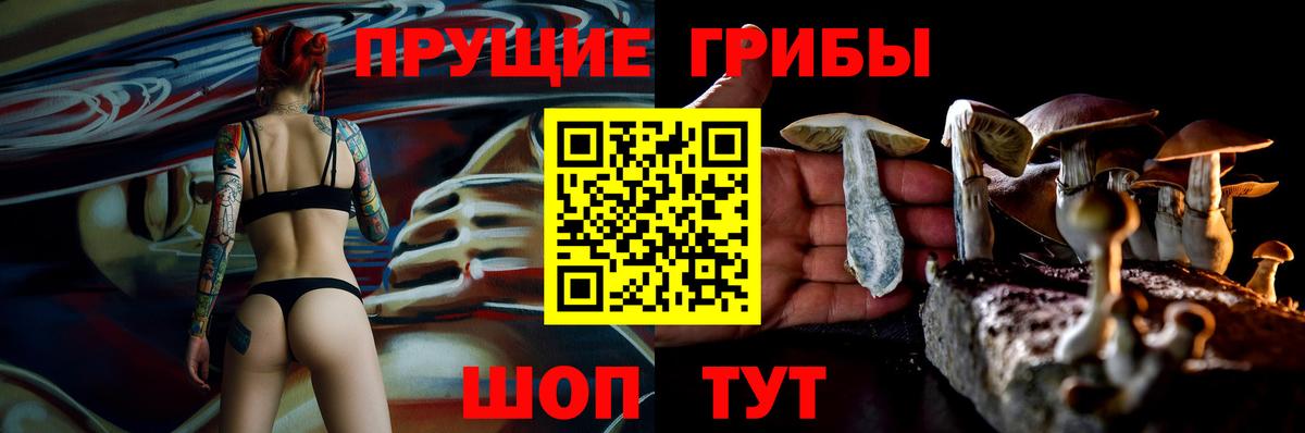 Псилоцибиновые грибы ЛСД  Вход с VPN  Ростов-на-Дону 